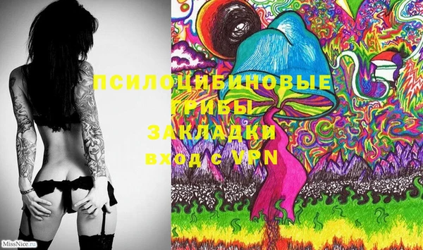 амф Абинск