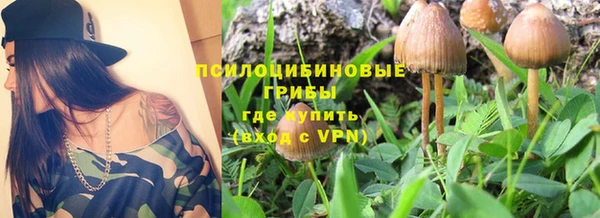 каннабис Абаза
