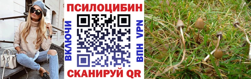 Галлюциногенные грибы мухоморы  купить закладку  Яхрома 